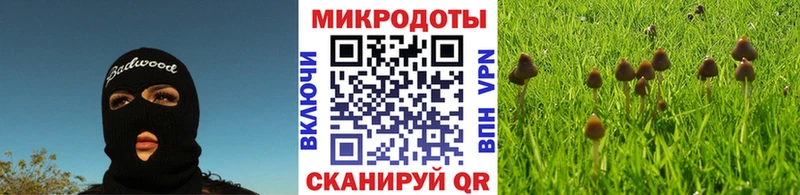 Псилоцибиновые грибы Magic Shrooms  Тырныауз 